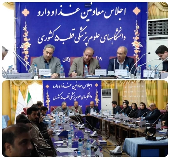 نشست معاونان غذا و داروی کلان‌منطقه پنج در بندرعباس؛ بررسی چالش‌های دارو، غذا و قاچاق کالاهای سلامت‌محور 